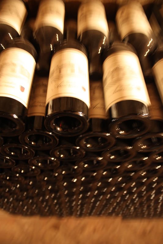 Merlot Selección